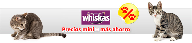 gay apps para blackberry zumpango gay apps para blackberry zumpango